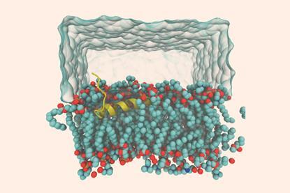 All-atom molecular dynamics simulation of peptide-membrane systems