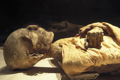 The Royal mummy of Merneptah