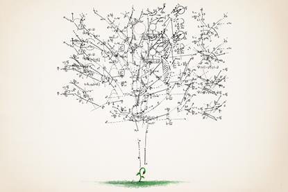 A young plant with mathematical formula forming a tree