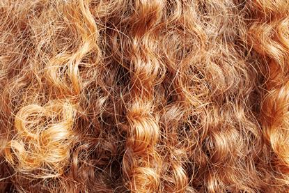 Hair