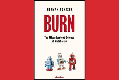 An image showing the book cover of Burn