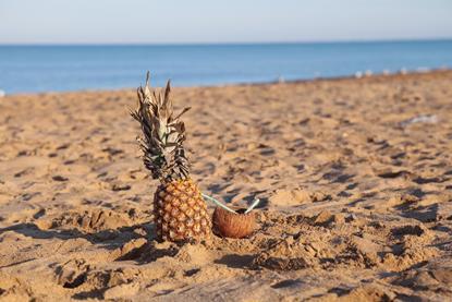 Pineapple and coconut on the beach