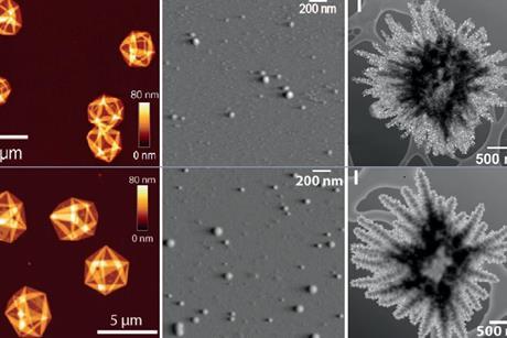 Three pairs of similar images three taken using microscopic techniques and three generated using AI