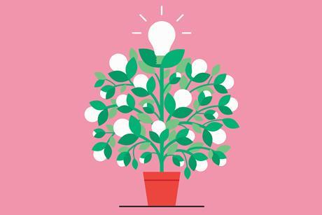 Light bulb plant