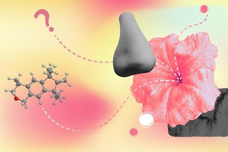 Nose, flower, molecule and question mark