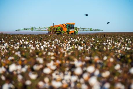 Tractor in the field