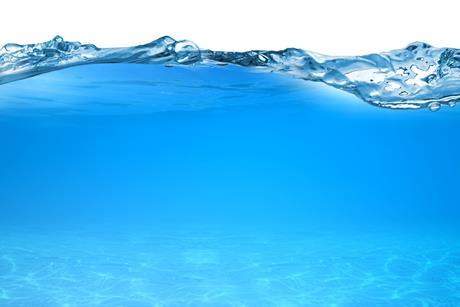Split-level view of water and sandy sea floor