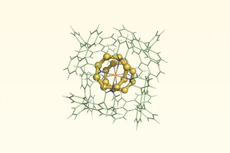 A 3d chemical structure of organic molecules around two rings of eight sulfurs.