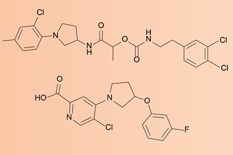 Two organic chemical structures.