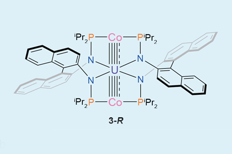 A complex molecule centred around a uranium atom bonded to two cobalt atoms in a quadruple or quintuple bond as well as four organic groups via nitrogens.