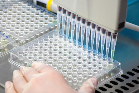 A close up of a researcher pipetting samples of liquids into a microplate