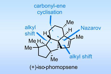 Iso-phomopsene