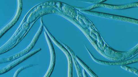 The Chemistry Of Inaction Feature Chemistry World