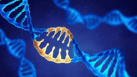 Dna Synthesis Is Just A Click Away Research Chemistry World