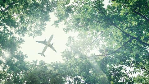 Aeroplane viewed through forest canopy