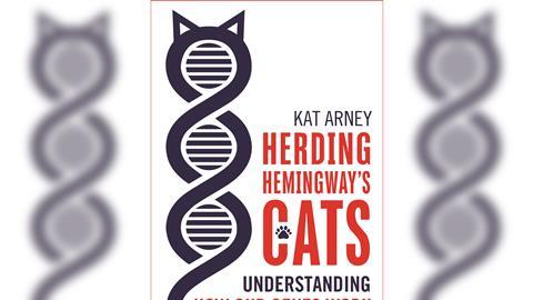 Herding Hemingways Cats