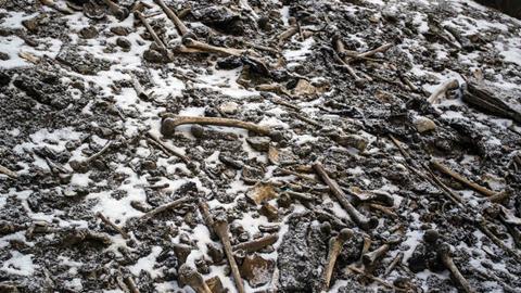 An image showing disarticulated skeletal elements scattered around the Roopkund Lake site