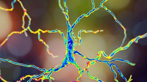 An image showing a dopaminergic neuron