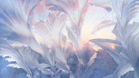 A photo of a frosted-over window. A thin layer of ice forms delicate feathery structures as a low sun lights up the window in blue and pink colours