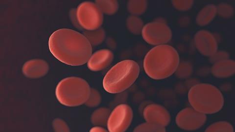 An image showing red blood cells