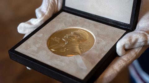 An image showing a Nobel prize medal
