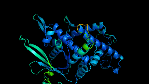 An image showing a phage RNA polymerase