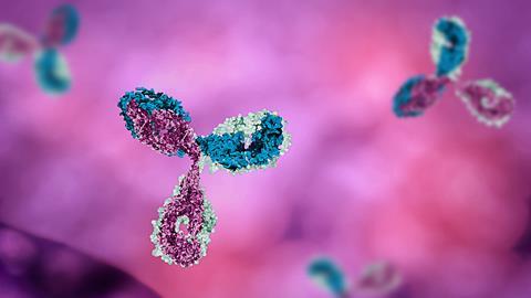 A 3D illustration of antibodies