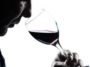 Sniffing wine