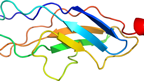 Three-dimensional structure of titin