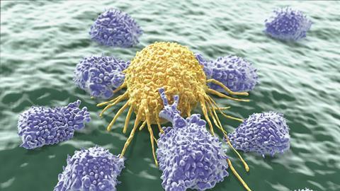 Tumour Cells Hide From Immune System