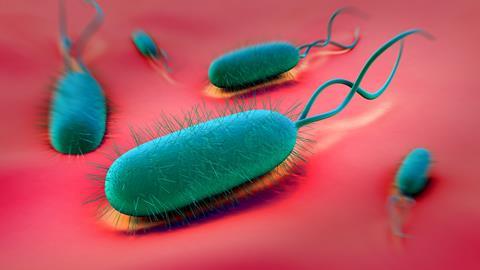 Illustration of helicobacter pylori on red background