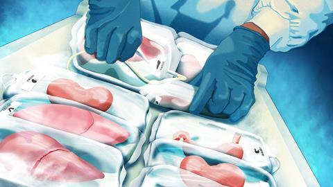 A drawing of gloved hands sorting through a hospital freezer shelf containing frozen organs