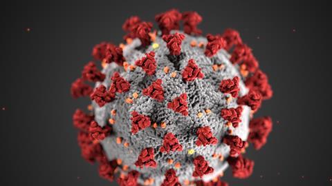An image showing a coronavirus particle