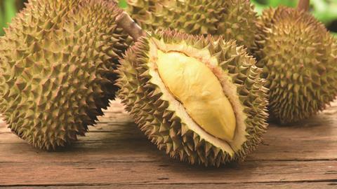 Durian fruit - Hero