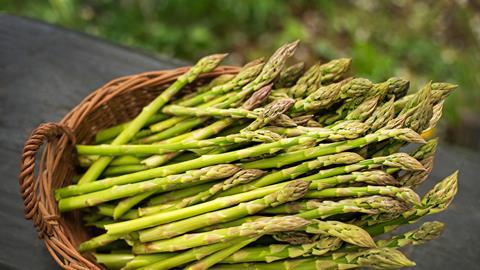 A basket of fresh asparagus