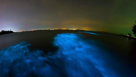 Bioluminescence in night sea water
