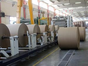 Large rolls of paper