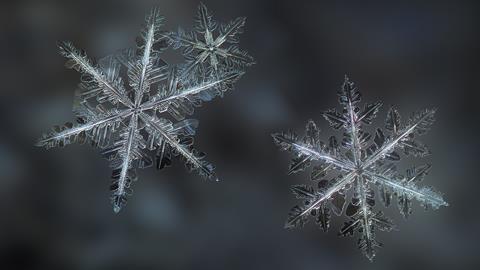 A photograph of snowflakes