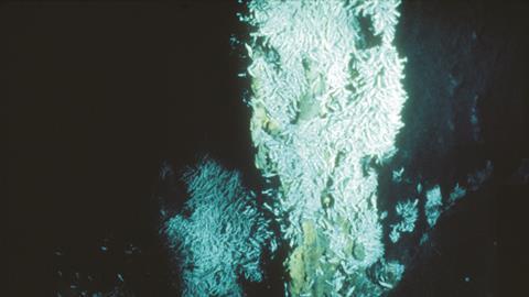 Hydrothermal vent discovered by Susan Humphris in 1986 Atlantic expedition 