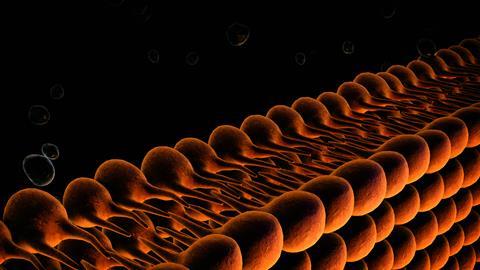 A 3D illustration showing a plasma membrane