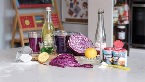 An image showing ingredients for a home experiment