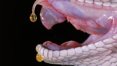 Snake venom