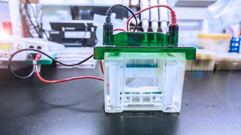 Photo of a Western blot analysis on a lab bench in a lab