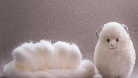 Roll of white wool next to a handmade woollen sheep, set on a neutral background