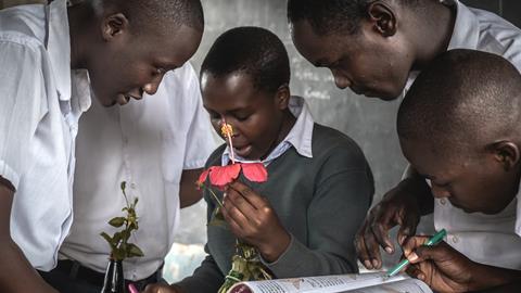 An image showing a group of children studying plants