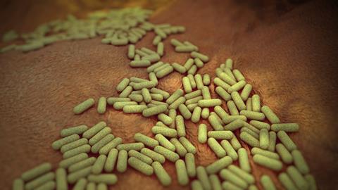 An illustration of E. coli
