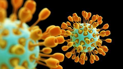 An image showing a coronavirus illustration