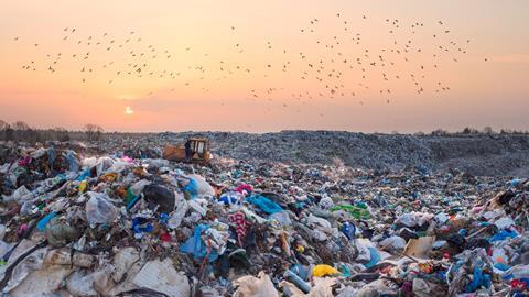 Birds flying over landfill