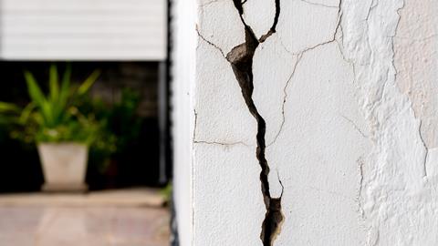 Cracked concrete wall with plant in background