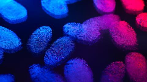 An image showing  blue and pink glowing fingerprints on a dark background